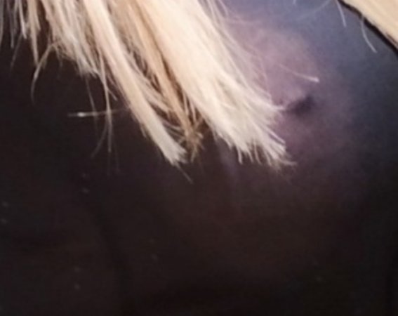 Linda