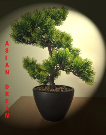 Prostory k pronájmu