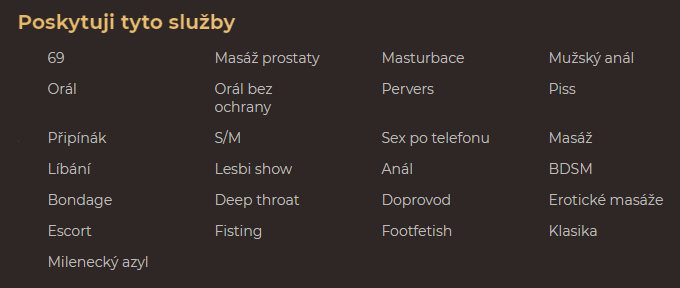 výpis poskytovaných služeb